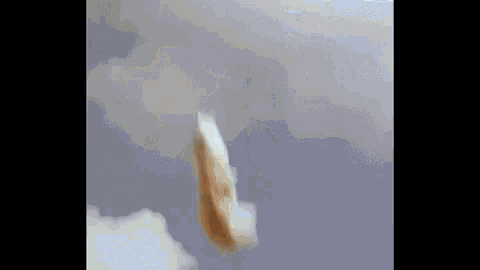 a bird is flying through a cloudy sky in a very close up .