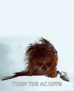 Chewie Chewbacca GIF - Chewie Chewbacca Beard GIFs
