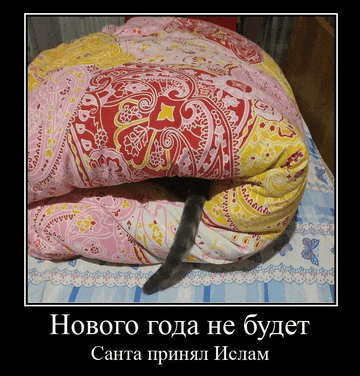 a picture of a cat laying under a blanket with russian writing