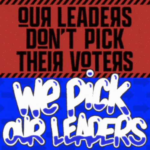 Our Leaders Dont Pick Their Voters We Pick Our Leaders GIF