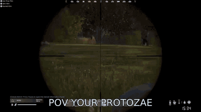 a sniper scope with the words " pov your protozae " on the bottom right