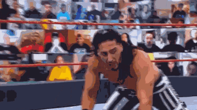 a man in a wrestling ring with a crowd watching