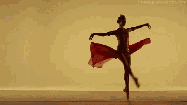 a silhouette of a ballerina with a red skirt is dancing on a tumblr.com page
