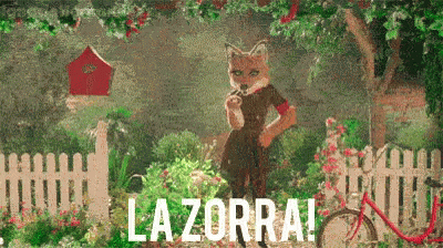 Zorra Animal Gracioso GIF - Fox Animal Funny GIFs