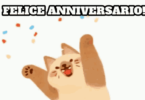 a cat is jumping in the air with its arms in the air and confetti falling around it .