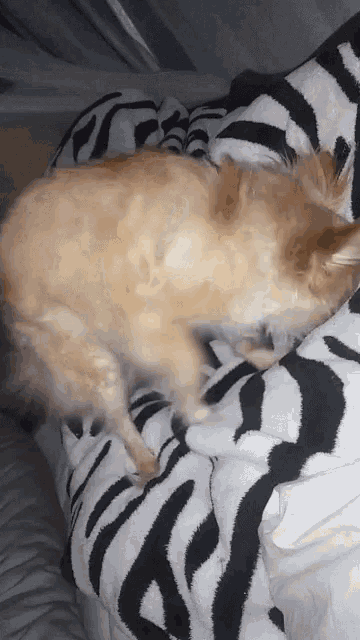 Goodnight Cant GIF - Goodnight Cant Sleep GIFs