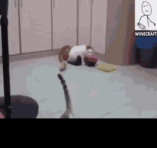 a cat is eating from a bowl on the floor in a kitchen .