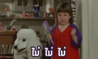 a little girl is standing next to a white poodle and brushing it .