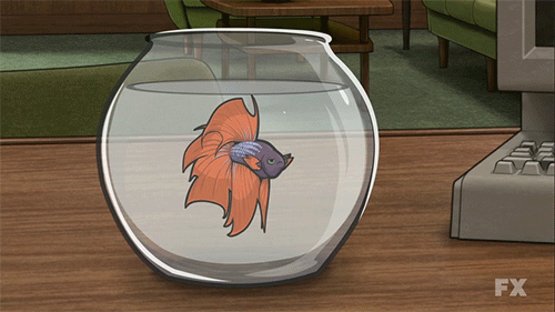 Sad Fish GIF - Archer Goldfish GIFs
