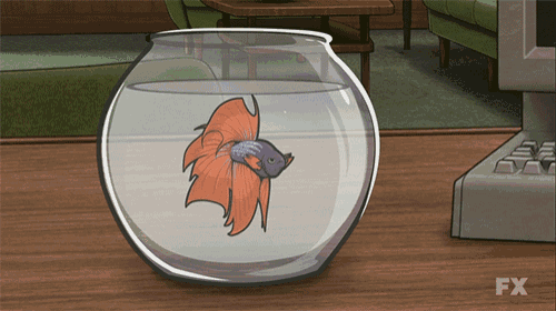 a fish in a bowl with fx on the bottom right