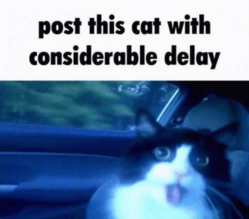 Delay Cat GIF - Delay Cat GIFs