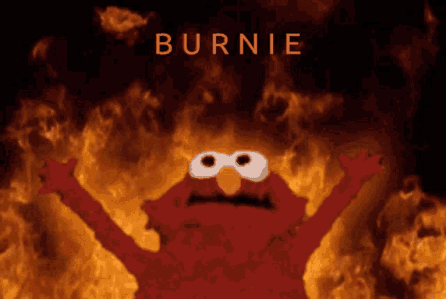 elmo is surrounded by flames and the word burnie is on the bottom right