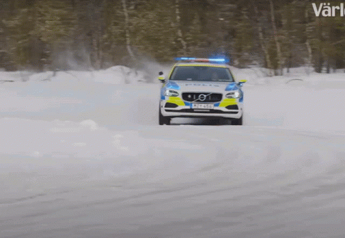 Sweden Police GIF - Sweden Police GIFs