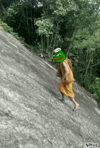 a picture of a person with a frog on their head with the number 9 to 5 on the bottom