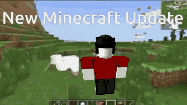 a screenshot of a video game called minecraft