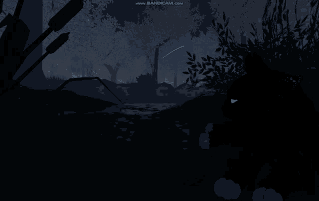 a black cat with blue eyes is standing in a dark forest and the website www.bandicam.com is visible