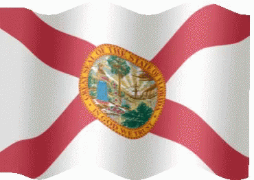 Florida Flag Waving GIF