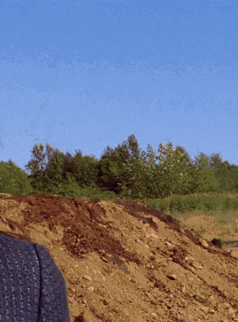a person standing in a field with trees in the background