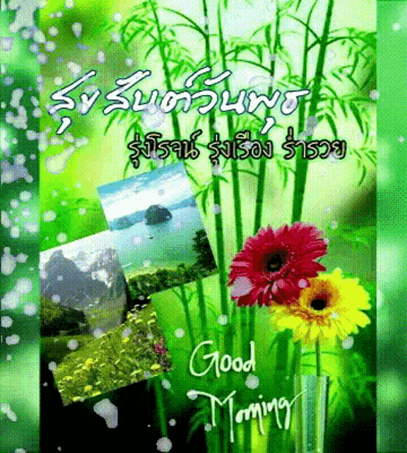 a good morning greeting card with flowers and pictures
