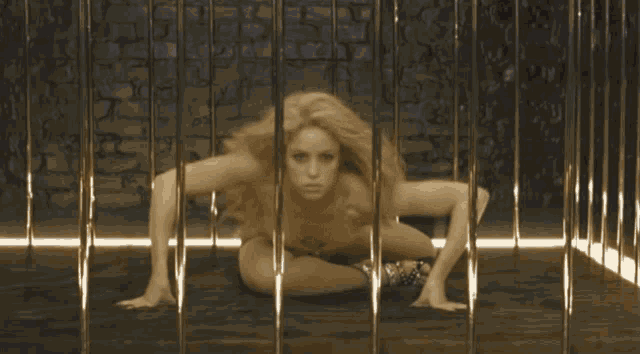Shakira Loba GIF - Shakira Loba Dance GIFs