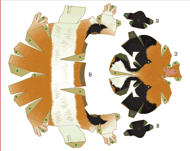 a paper model of a guinea pig with the letters a and b on it
