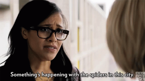 Something Is Happening Spiders GIF - Something Is Happening Spiders Worried GIFs