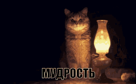 мудрость мудрый кот у газовой лампы GIF - Wisdom Wise Cat GIFs