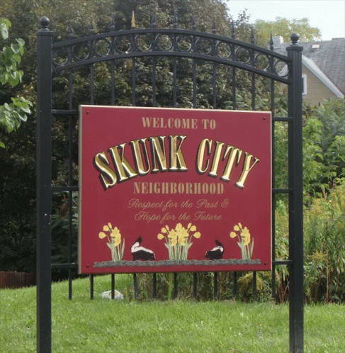 Skunk City Syracuse GIF - Skunk City Syracuse GIFs