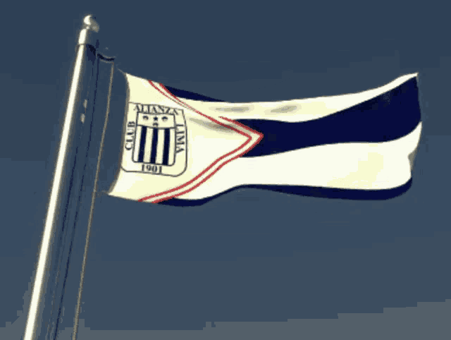 a flag that says alianza on it is flying in the wind