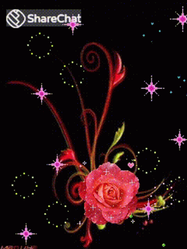 गुलाब चमचमाते GIF - गुलाब चमचमाते तारे GIFs