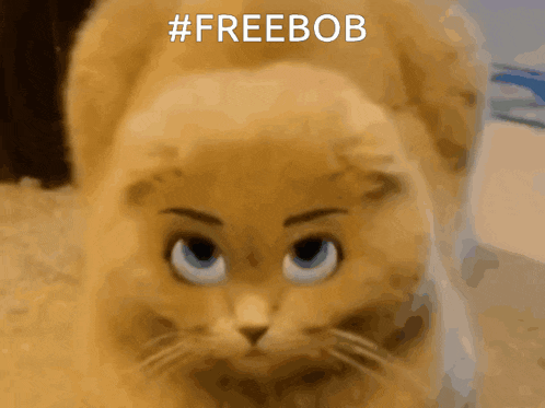 a close up of a cat with the words #freebob written above it