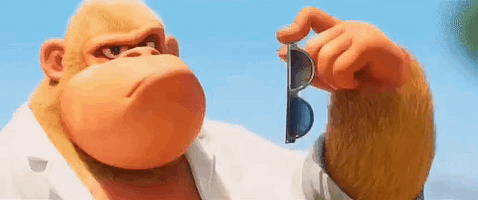 Sunglasses Ape-putting-on-sunglasses GIF - Sunglasses Ape-putting-on-sunglasses Gorilla GIFs