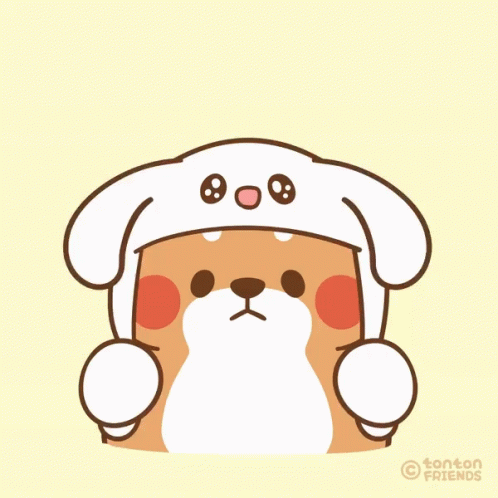 Aichan Aimax GIF - Aichan Aimax Cute Dog GIFs