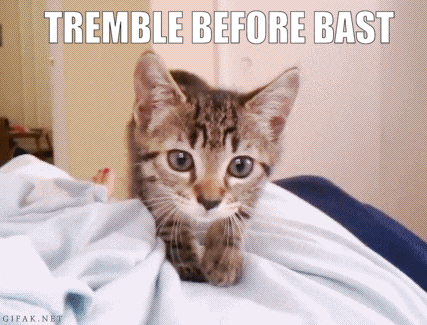 a kitten laying on a bed with the words tremble before bast written above it
