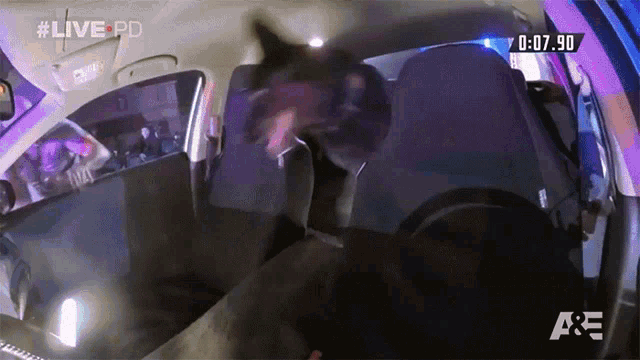 Out Of Car Exit GIF - Out Of Car Exit Search GIFs