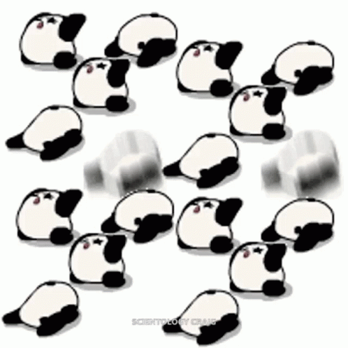 Panda Worship GIF - Panda Worship GIFs