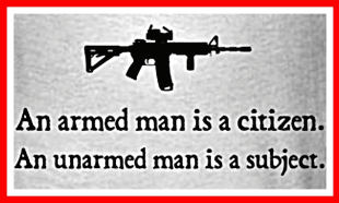 Armed Citizen GIF - Armed Citizen Johncarduck GIFs