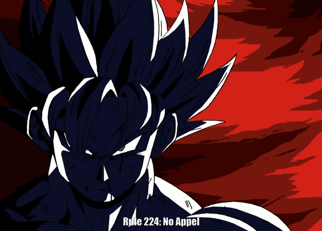 a drawing of a man with the words rule 224 no appel on the bottom right