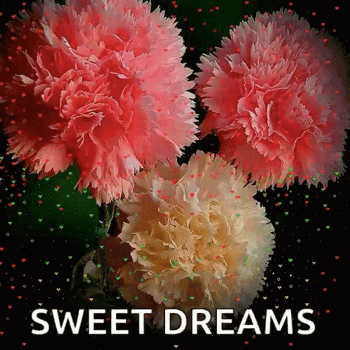 Sweet Dreams Good Night GIF - Sweet Dreams Good Night Flowers GIFs