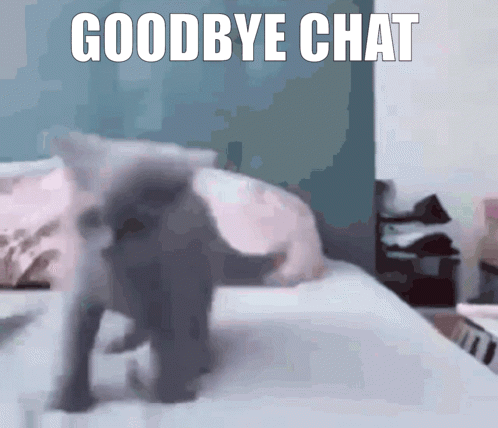 Kitty Cat GIF - Kitty Cat Goodbye Chat GIFs
