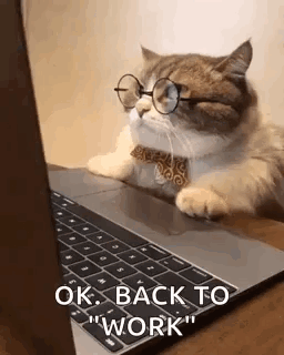 Businesscat Working GIF - Businesscat Working Cat GIFs
