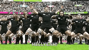 a group of rugby players are performing a haka in front of a crowd .