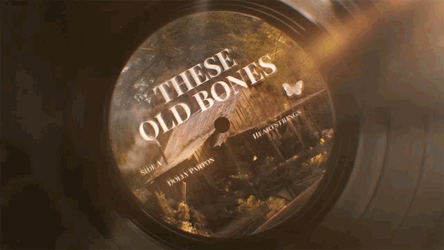 These Old Bones Song GIF - These Old Bones Song Record GIFs