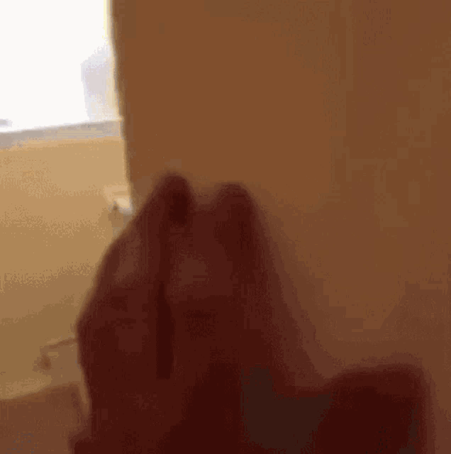 a blurred image of a person 's hand in a bathroom