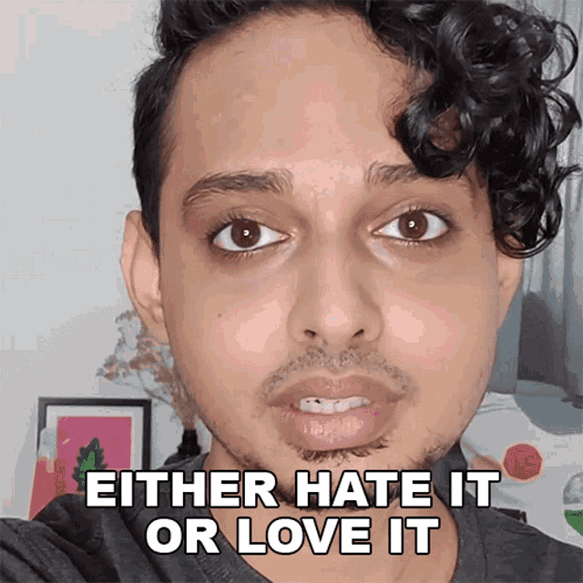 Either Hate It Or Love It Aniket GIF - Either Hate It Or Love It Aniket Buzzfeed India GIFs