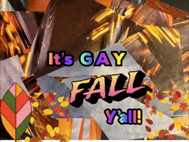 a poster that says " it 's gay fall y'all "
