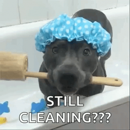 Shower Dogs GIF - Shower Dogs Dog GIFs