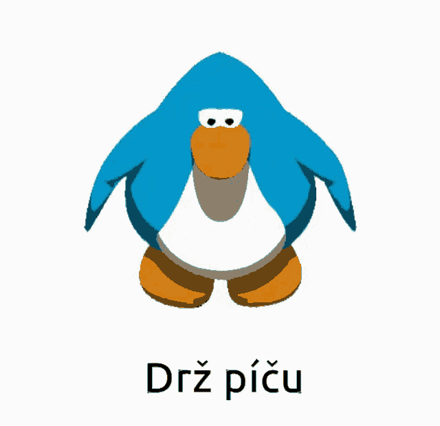 a picture of a penguin with the words drž piču written below it