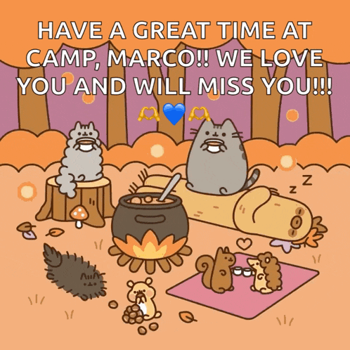 a cartoon says have a great time at camp marco !! we love you and will miss you !!