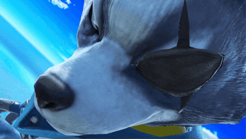 a close up of a dog 's face with a blue sky behind it